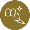 veneer icon